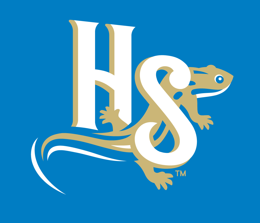 Holly Springs Salamanders 2015-Pres Alternate Logo v5 iron on heat transfer.png